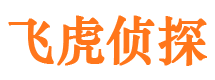 黄岛私人侦探